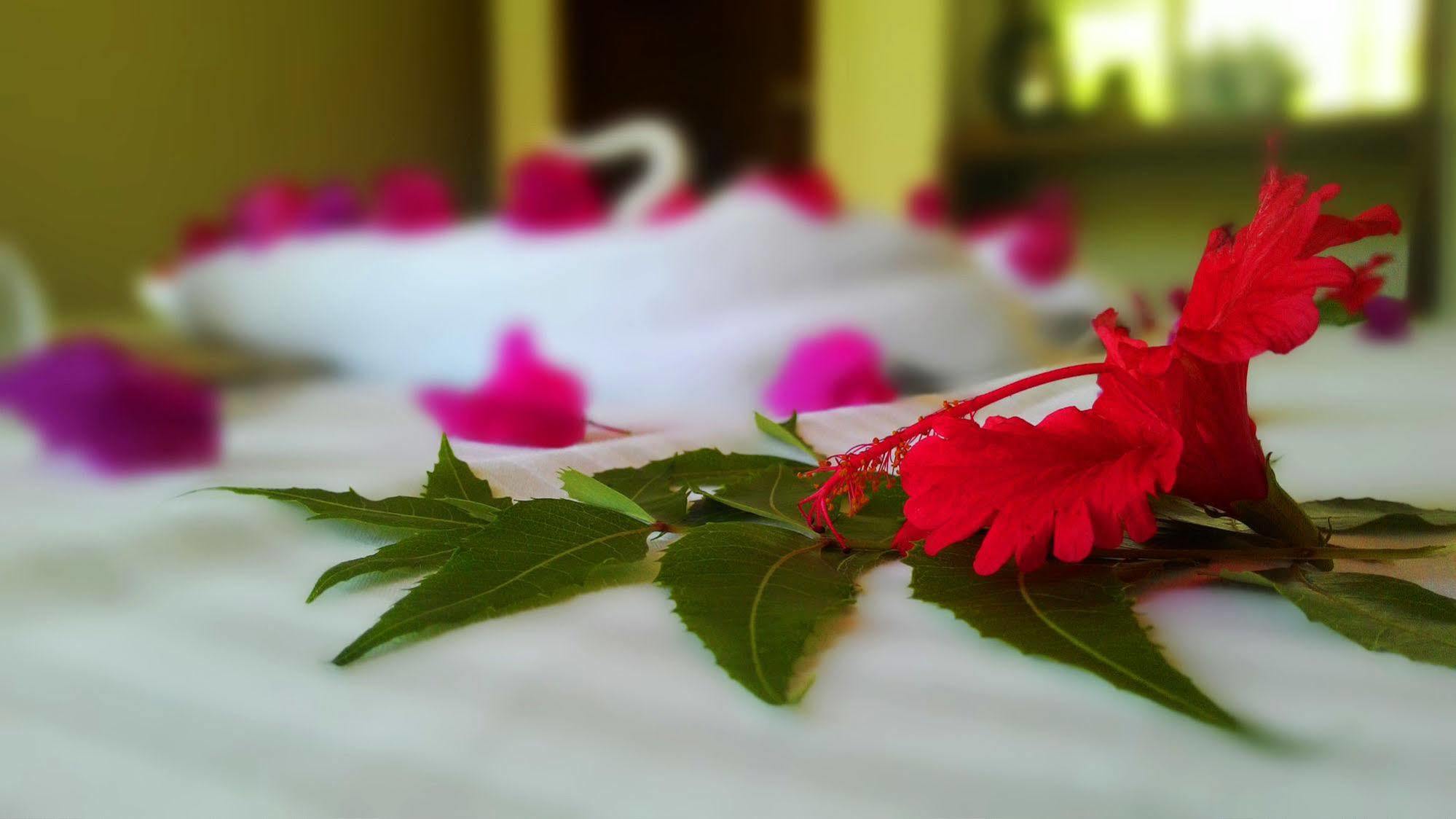 Sole Luna Resort & Spa Тангале Екстериор снимка